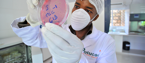 Food microbiology laboratory in Nairobi